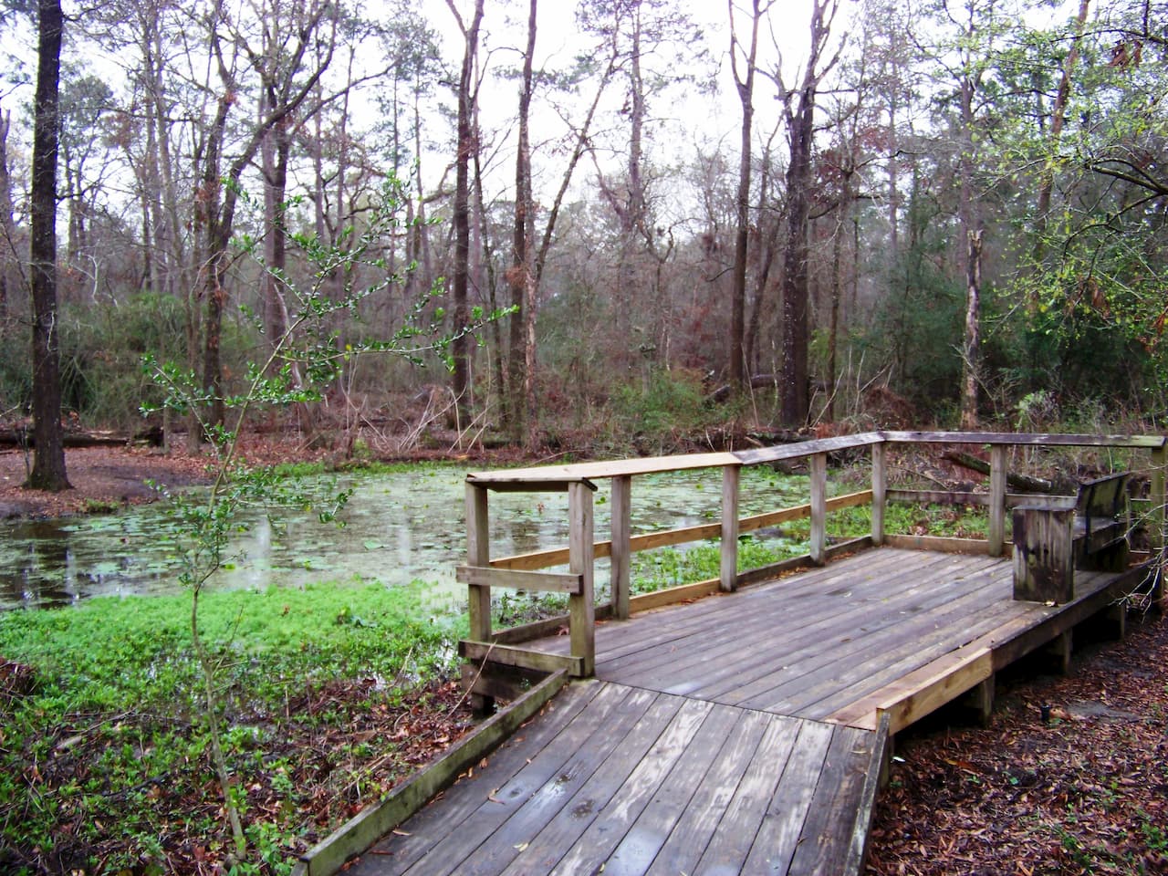 Houston Arboretum and Nature Center